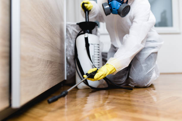 Best Commercial Pest Control Services  in West Blocton, AL