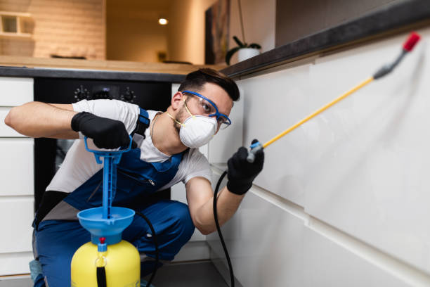 Best Residential Pest Control  in West Blocton, AL