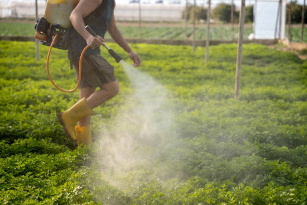 Best Pest Control Near Me  in West Blocton, AL