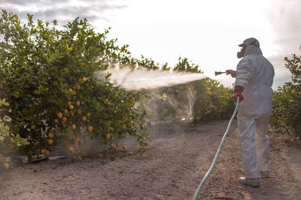 Best Pest Prevention Services  in West Blocton, AL