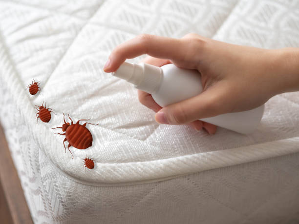 Best Flea Control Services  in West Blocton, AL