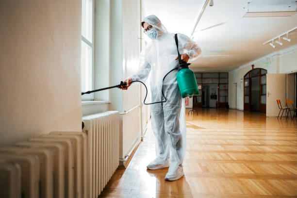 Best Local Pest Control Services  in West Blocton, AL