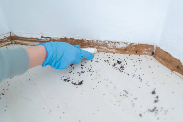 Best Pest Control Cost  in West Blocton, AL