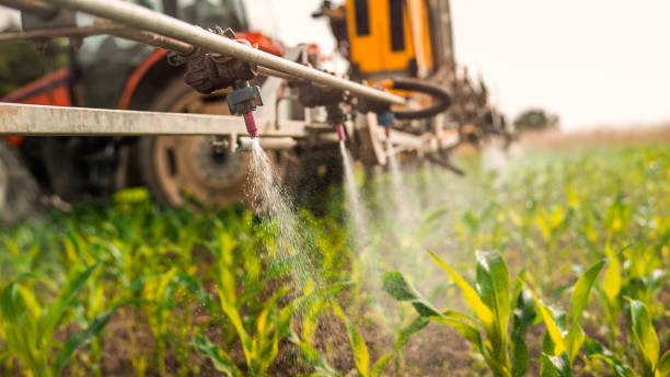 Best Pest Removal Services  in West Blocton, AL